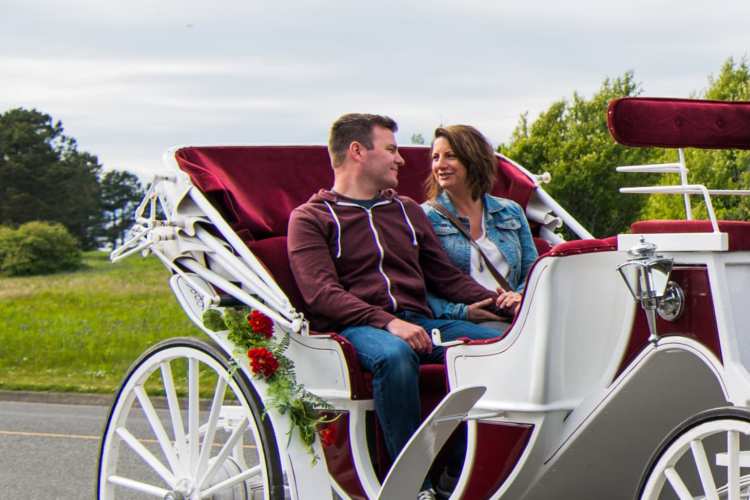 tally ho carriage tours