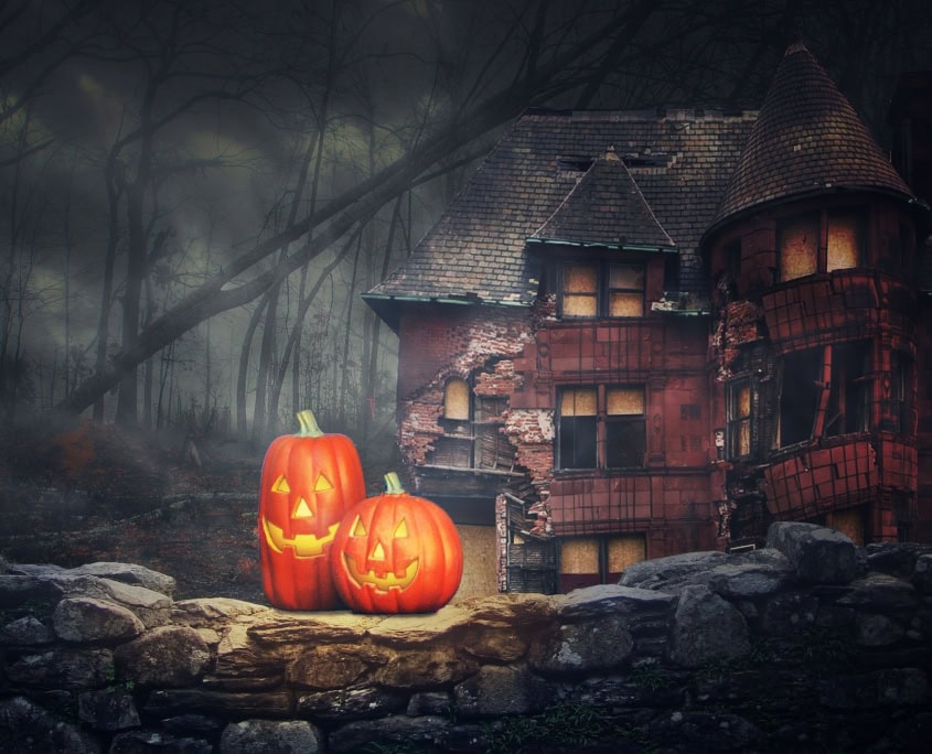 Horse Drawn Carriage Tours in Victoria BC TallyHo Tours