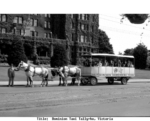 Tally Ho Carriage Tours circa 1944