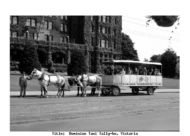 Tally Ho Carriage Tours circa 1944
