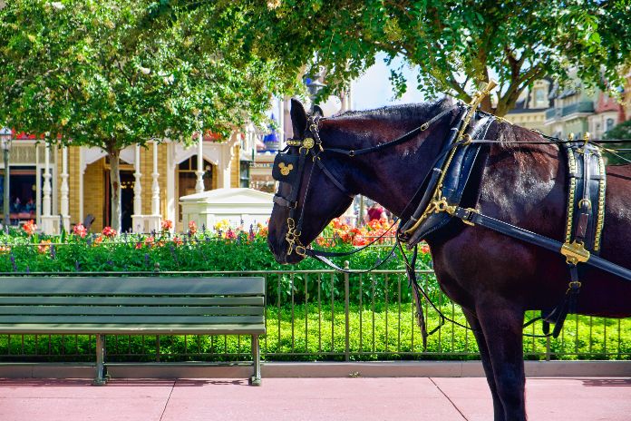 how to make horse tack