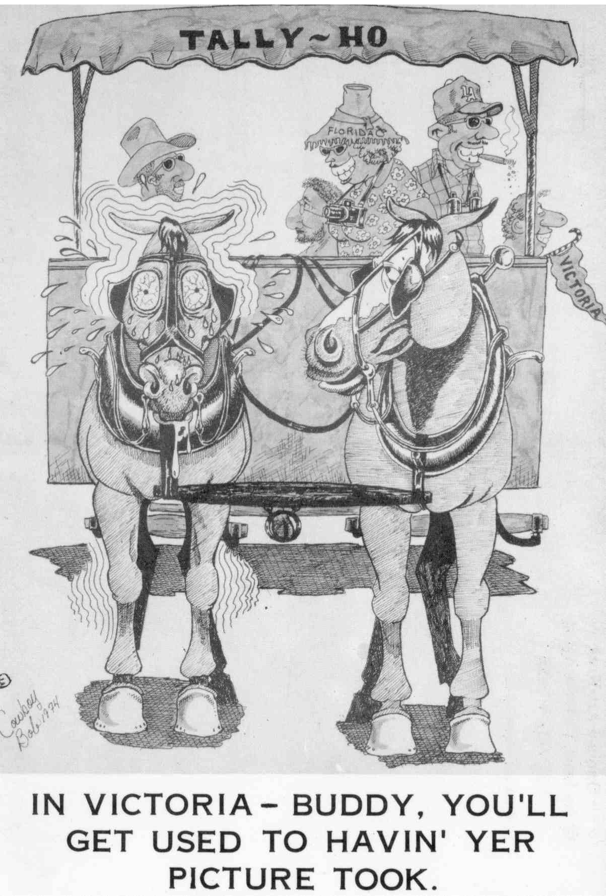 "Cowboy Bob" Postcards TallyHo Tours